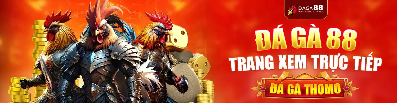 Đá Gà Trực Tiếp Kingbet Đăng Nhập